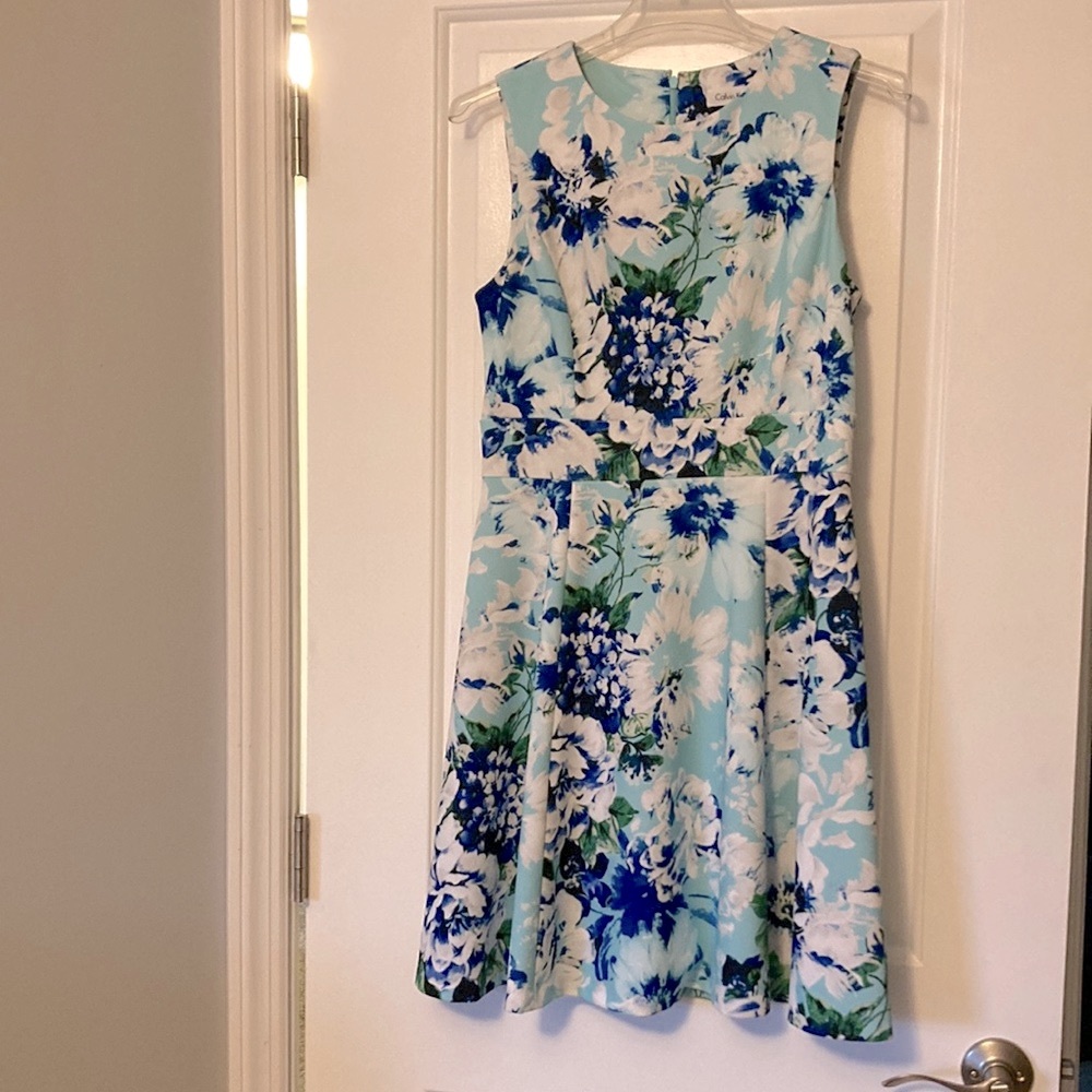 Calvin Klein | Floral A-line Sleeveless Dress 8P Petite Like New